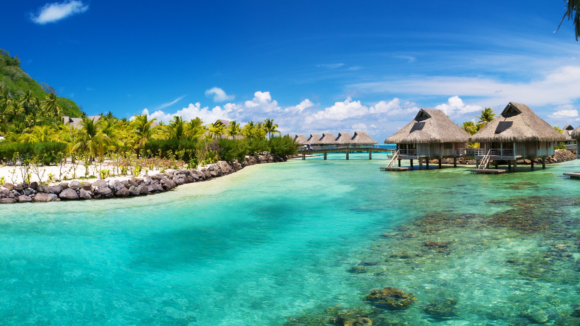 United Airlines Reservation Office in Belize, Belize AirlinesAirports
