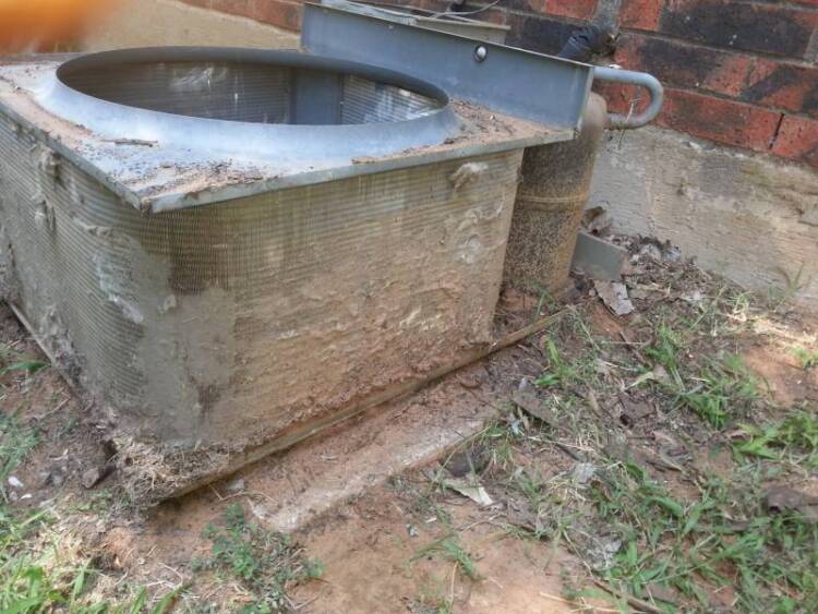 Dirty A/C Condensing Unit caused by Cottonwood trees. HVAC issue 101!