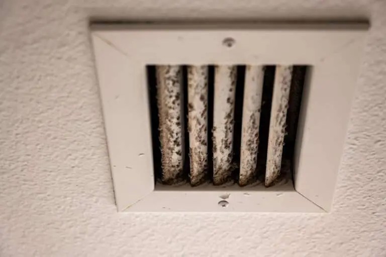 Eliminating Mold from Air Vents 7 Effective Techniques » AirPoint