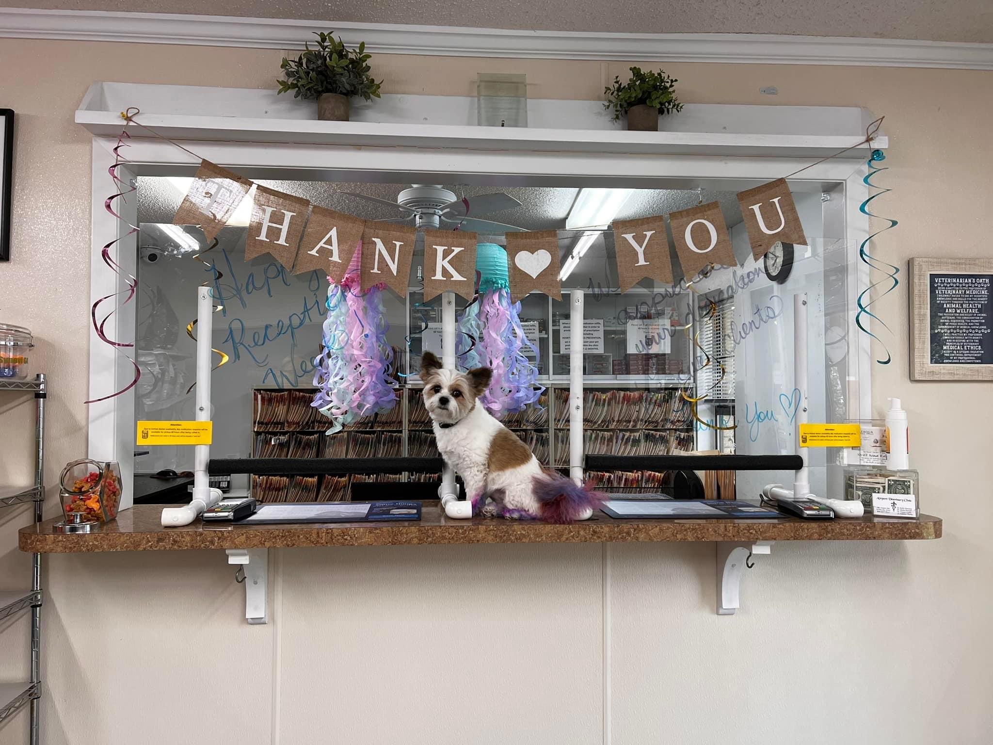 Our Services Airport Veterinary Clinic