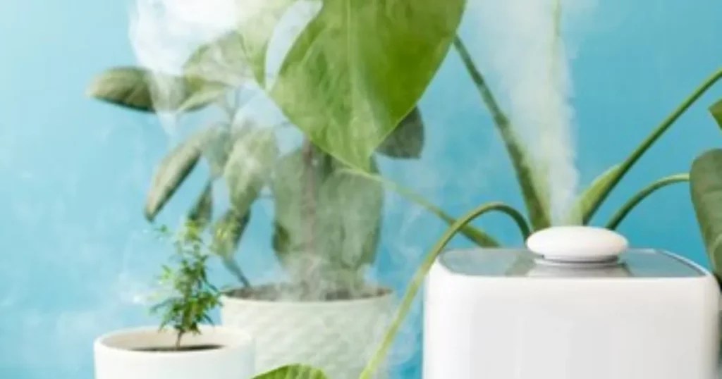 Do Air Purifiers Harm House Plants? A Complete Guide in 2023 Air Purifier