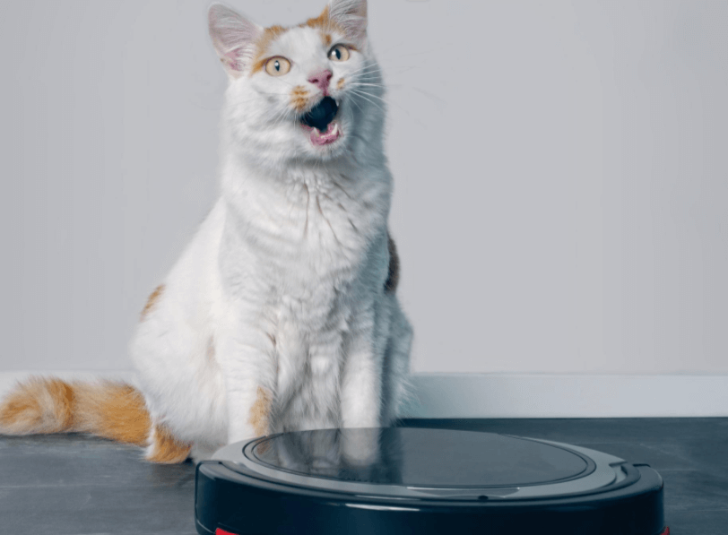 How Do Air Purifiers Work