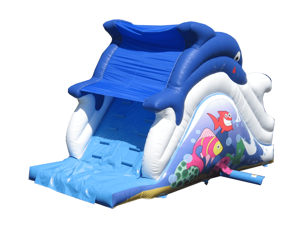 Dolphin Slide Aqua Run Airquee