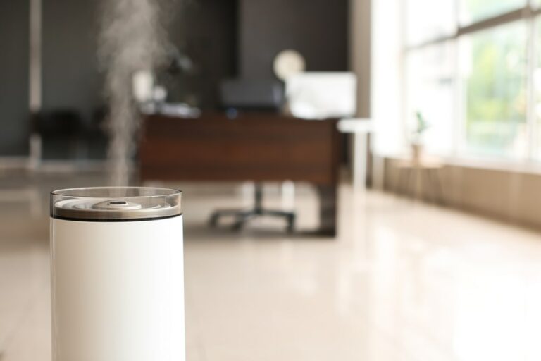 What Type Of Water To Use In Your Humidifier? [All Types Of Water