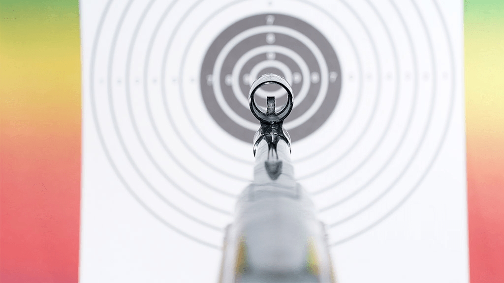 Pellet Gun or Airsoft Which One Will Rule Your Backyard Battle