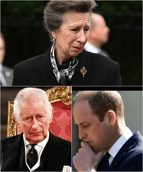 “I can no longer serve as I once did,” Princess Anne’s shocking