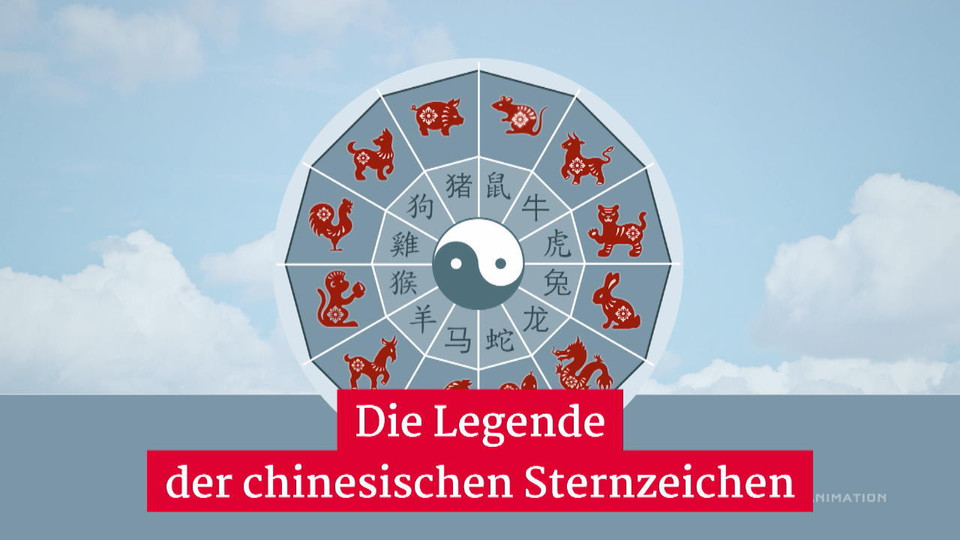 Chinesisches Sternzeichen Spontanes Pferd, treuer Hund? Das verrät Ihr Tierkreiszeichen über Sie