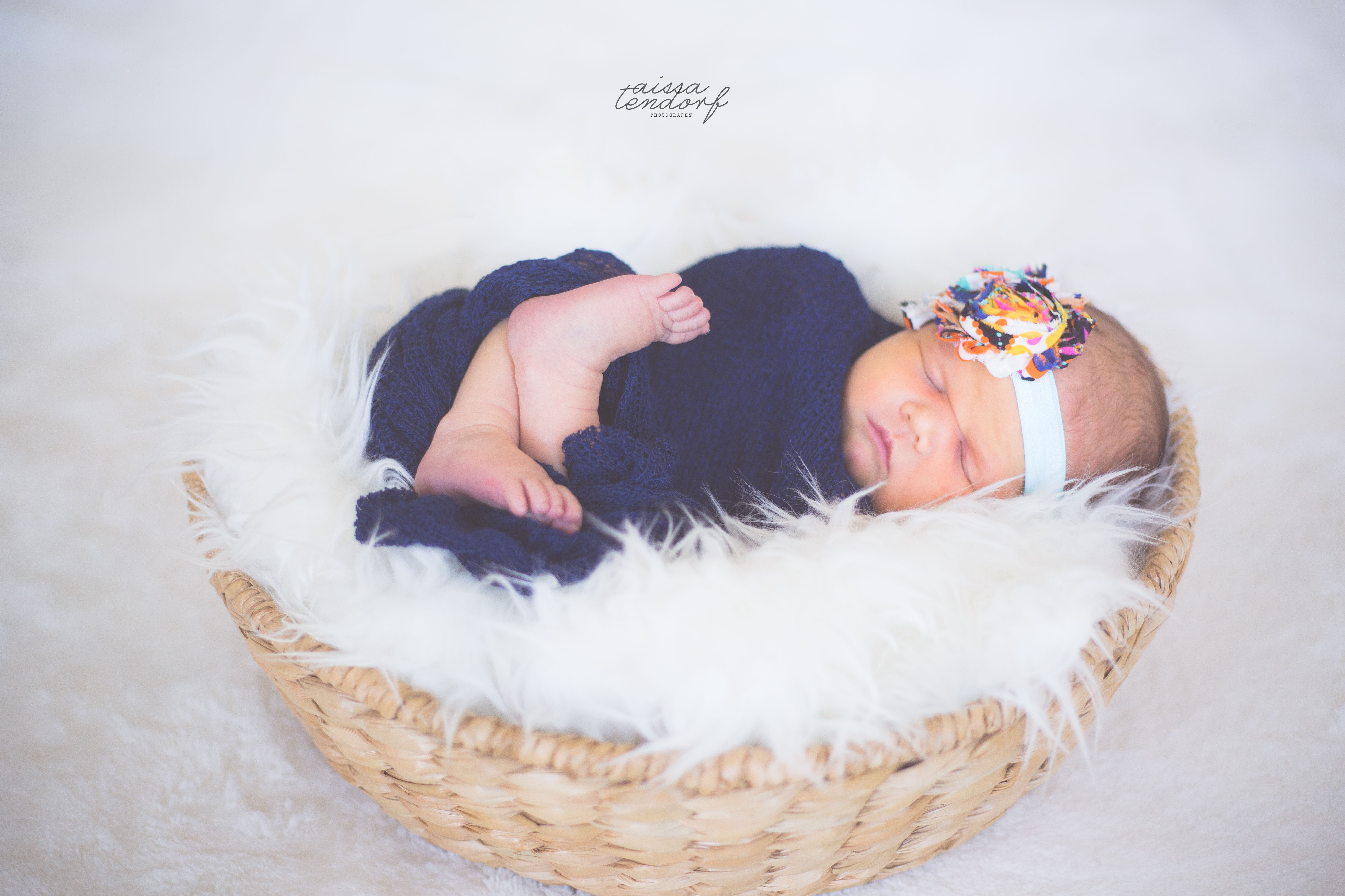 millie newborn carrollton, tx Aissa Tendorf Photography DFW