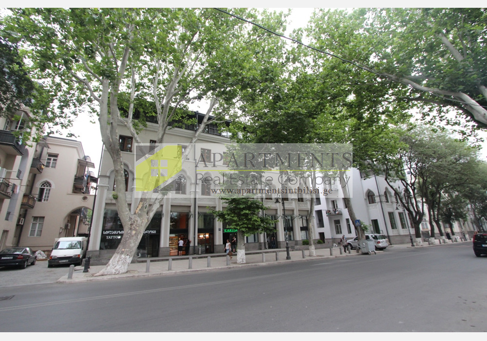 Daily rent apartment on Aghmashenebeli Avenue Apartments, Flats