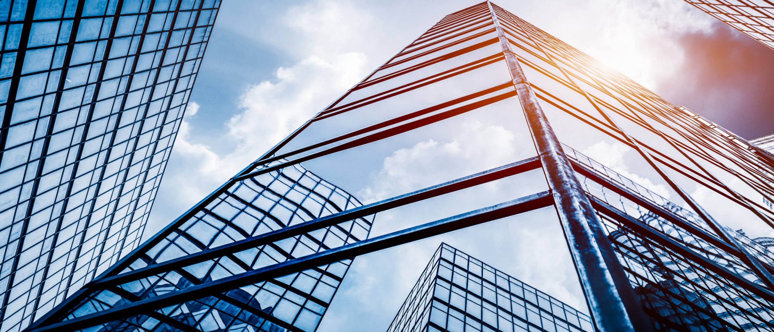 Commercial Amalgamated Insurance Underwriters