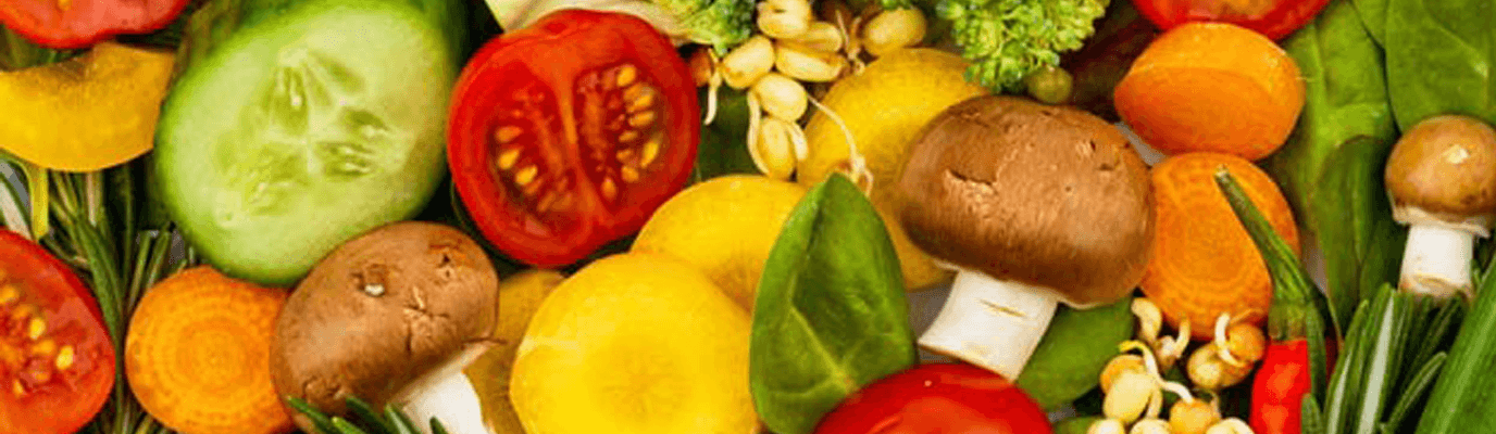 Bachelor of Nutrition Science (BS), Bachelor Programs are offered