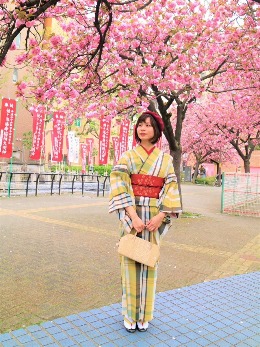 浅草の着物レンタルはモダンでシンプルな大人ぽく可愛い伊勢木綿 浅草着物レンタル 愛和服