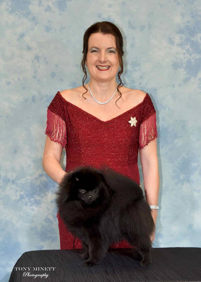 Breed by Me Aizens pomeranians