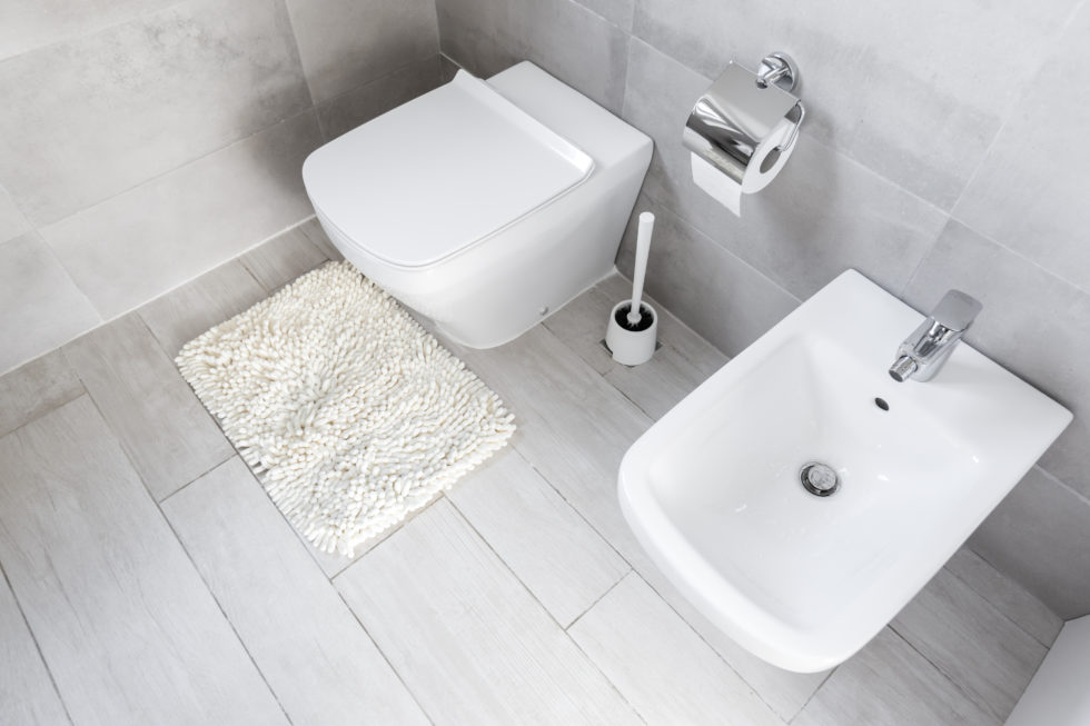 Washlet Vs Bidet Pros, Cons, & Which Is Bests For You