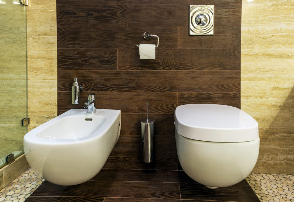 Washlet Vs Bidet Pros, Cons, & Which Is Bests For You