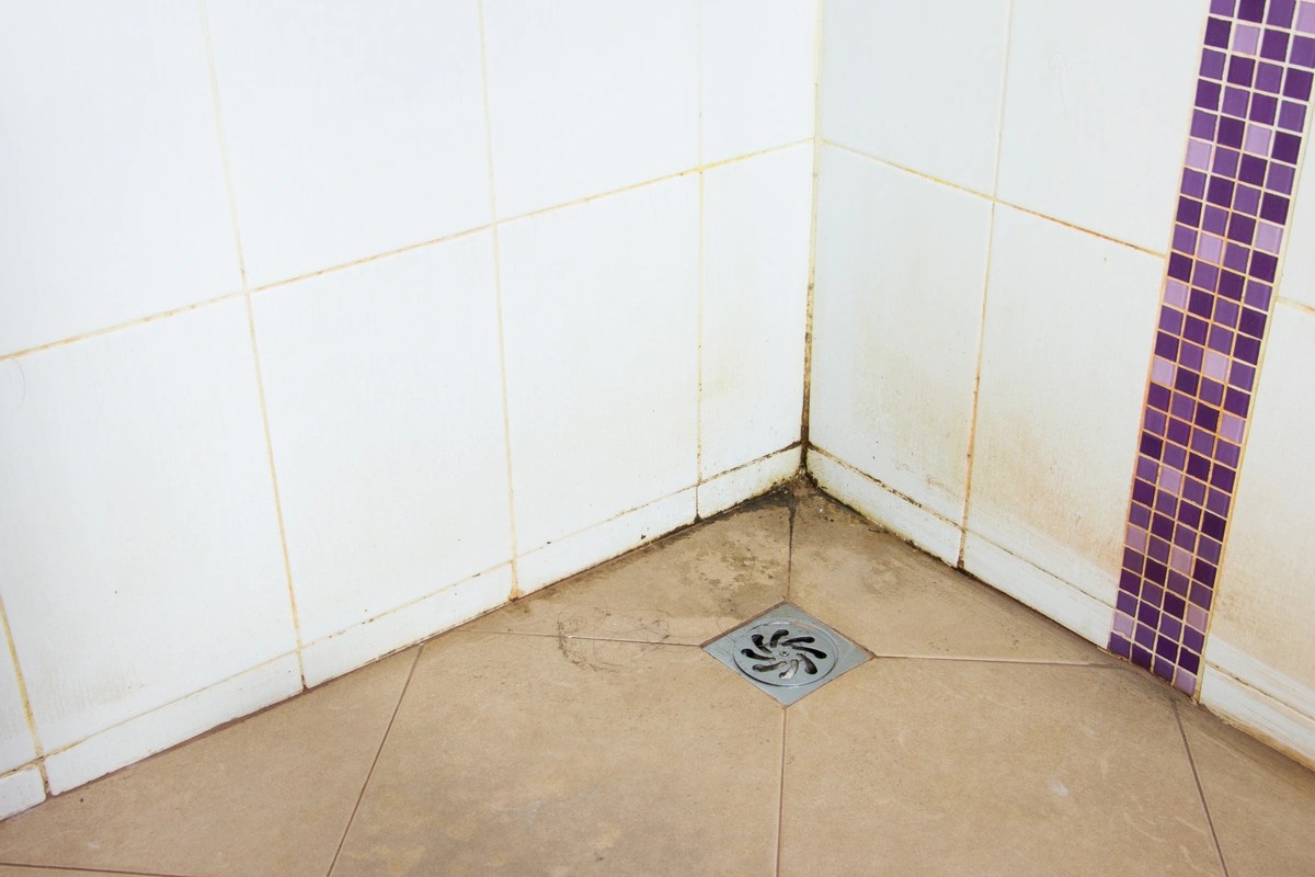 Nasty Shower Drain Smells 4 Solutions To This Problem