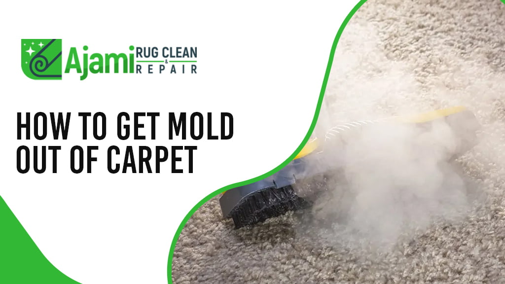 How to Get Mold Out of Carpet Tips and Cost in Manhattan