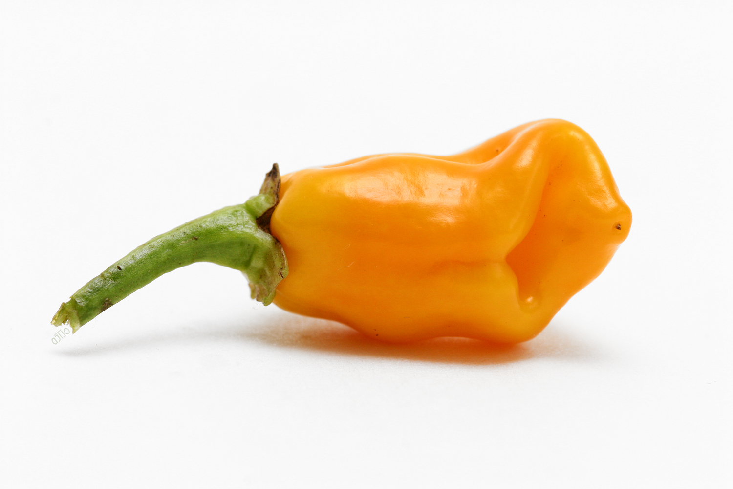 Fruitwave vs. fruitcore?