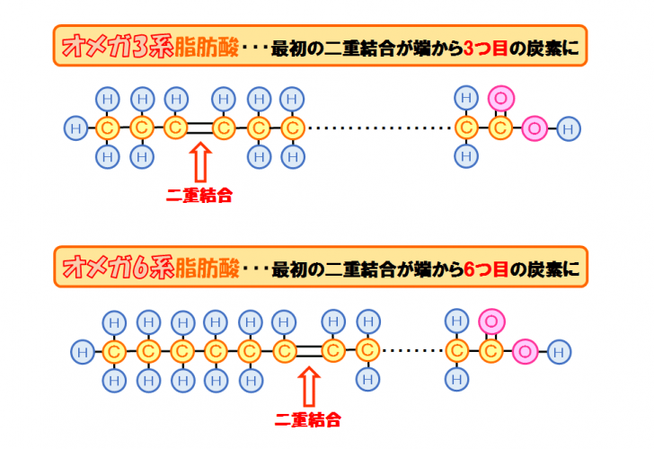 【教科書よりも優しい】脂肪酸の分類や種類をわかりやすく解説してみた！ スポーツ栄養士あじのブログ