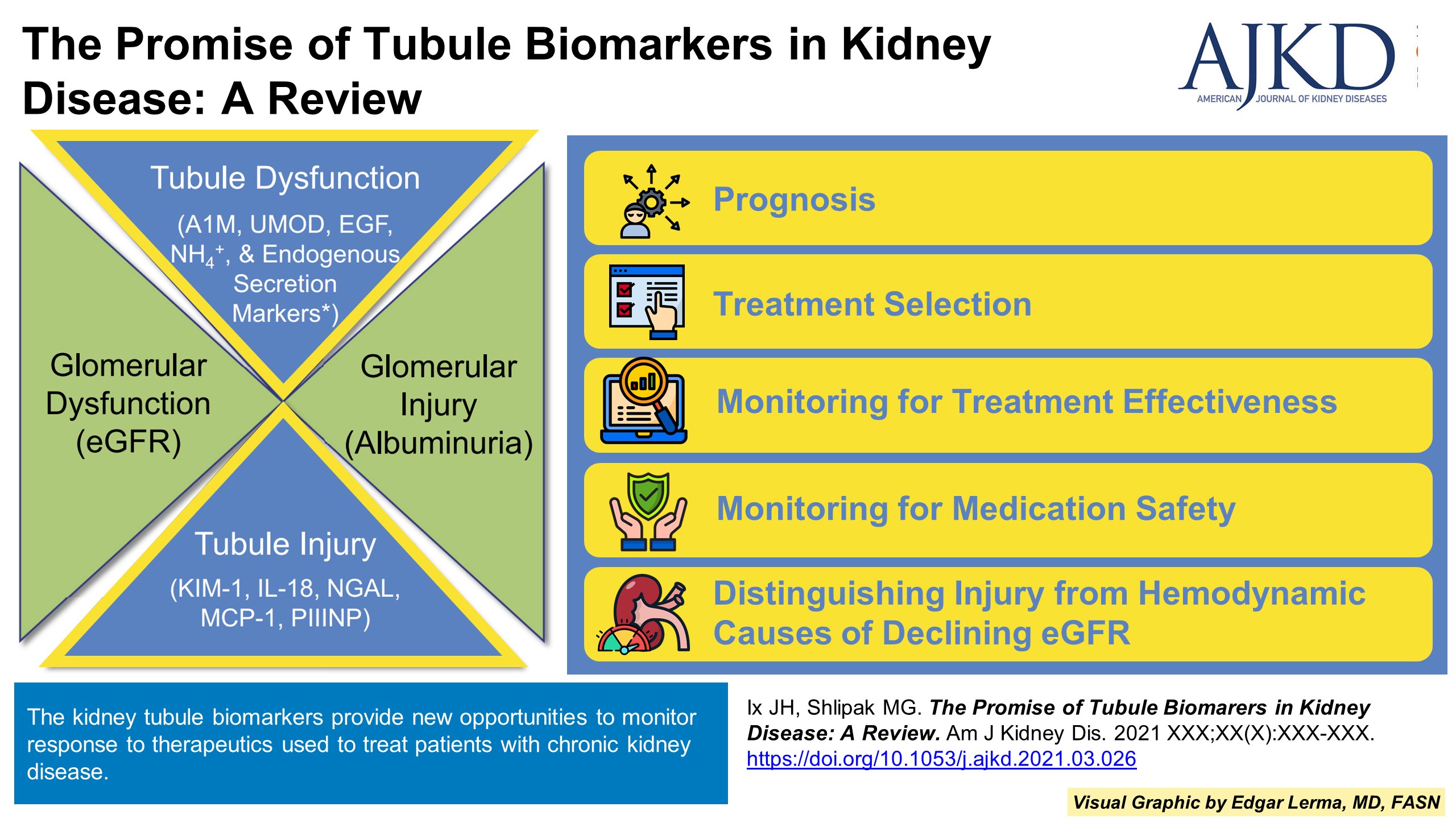 Tubule or Not Tubule? AJKD Blog