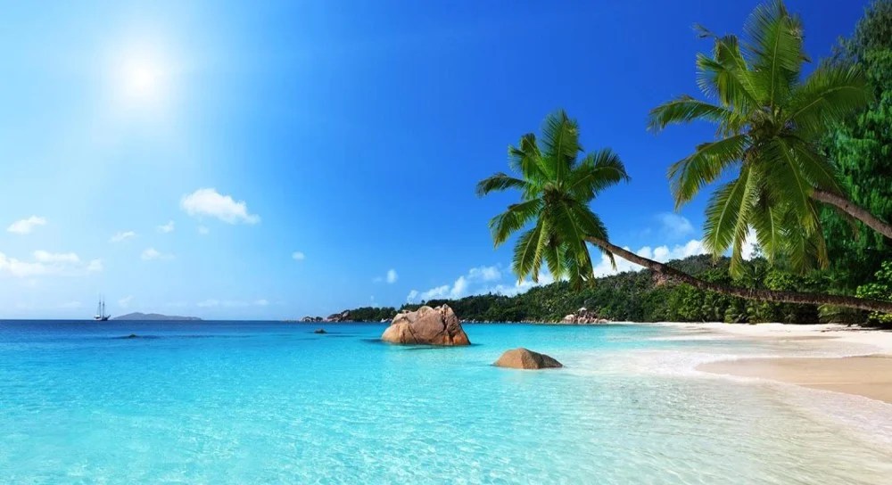 Malindi Kenya Facts, Activities, Getting Here, History, & More