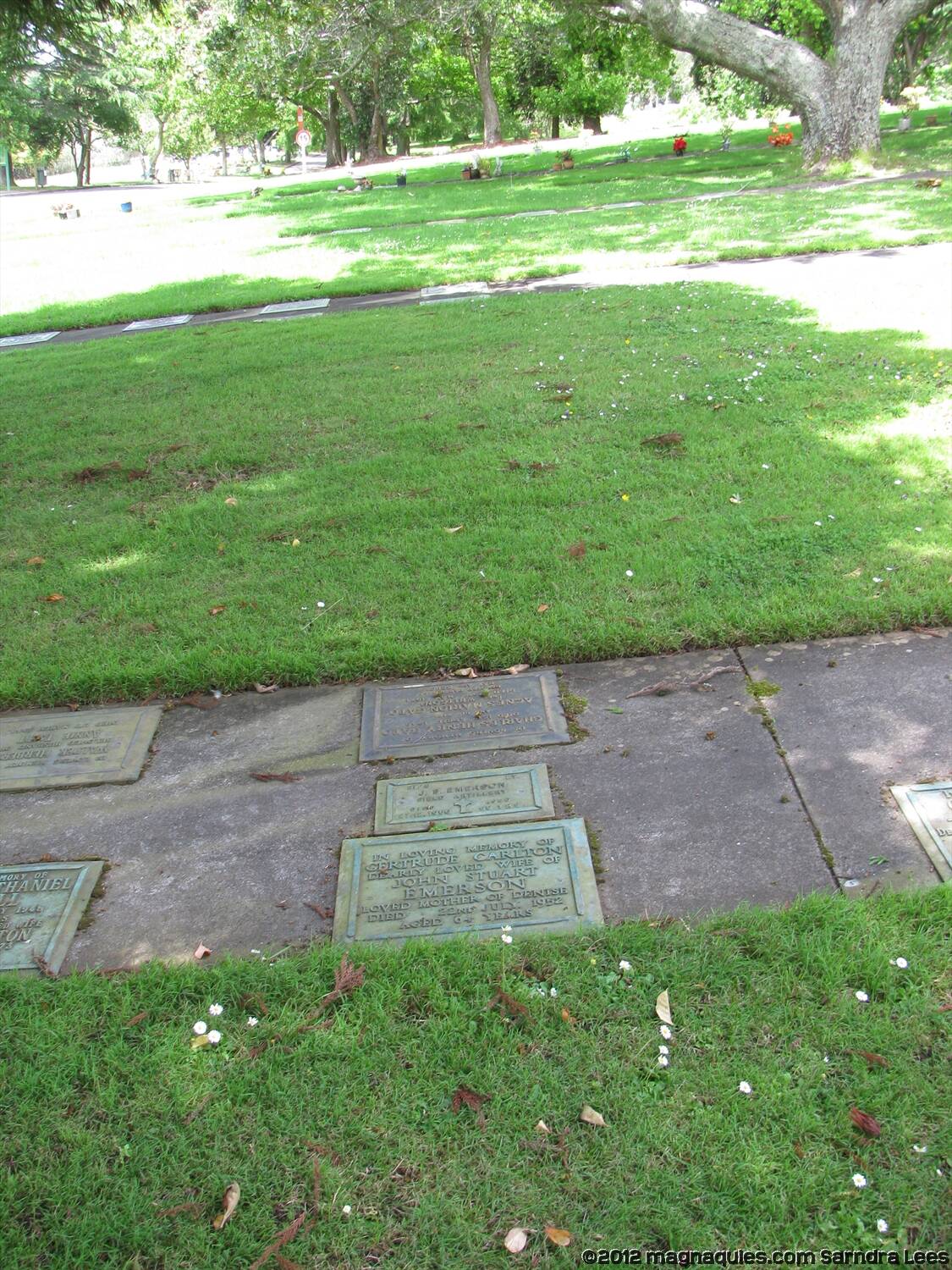 John Stuart Emerson Online Cenotaph Auckland War Memorial Museum