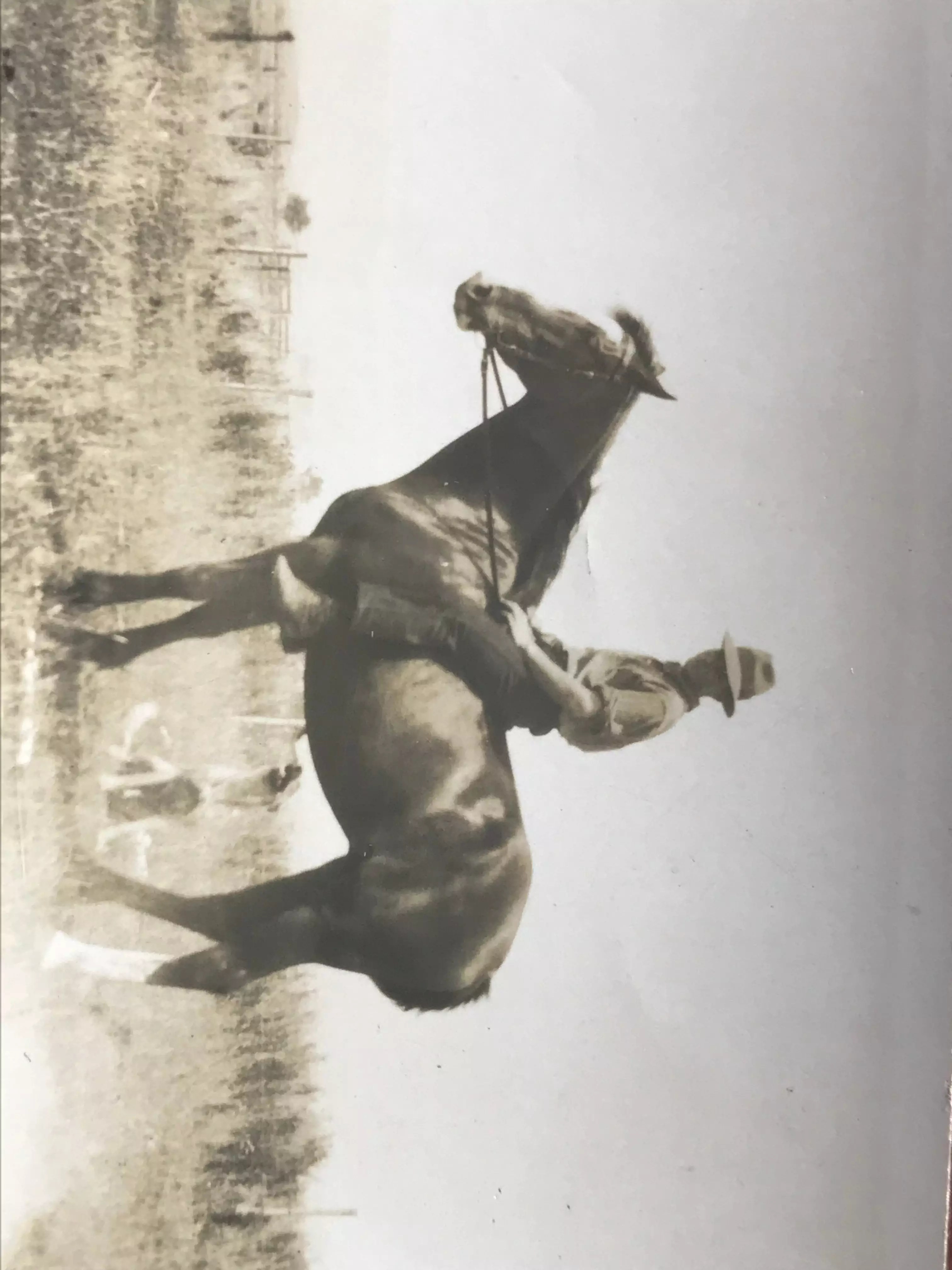Leonard Alexander Henderson Online Cenotaph Auckland War Memorial