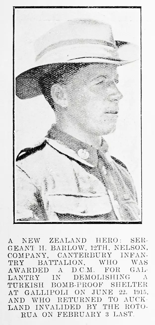 Harry Barlow Online Cenotaph Auckland War Memorial Museum