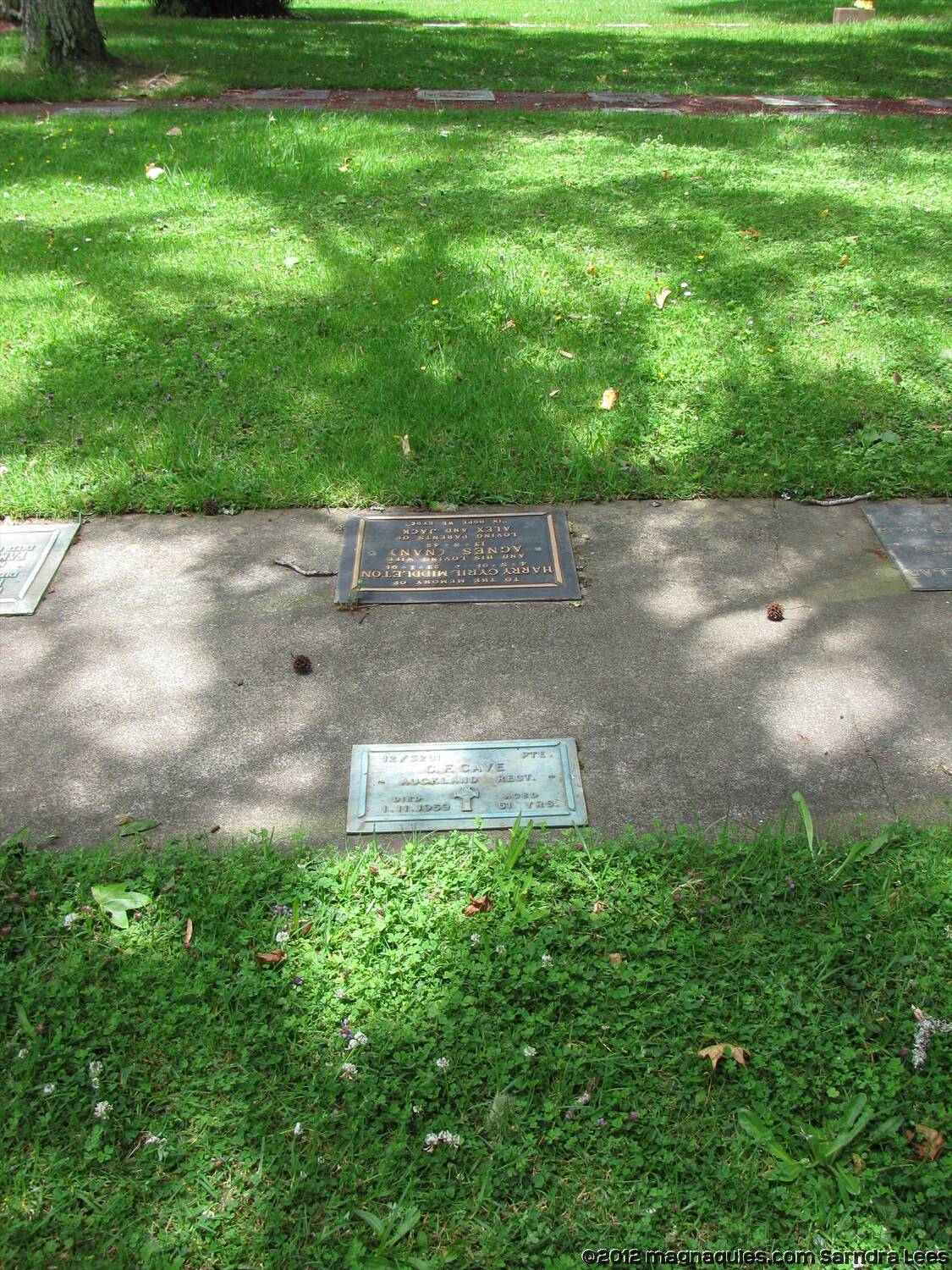 Cecil Frederick Cave Online Cenotaph Auckland War Memorial Museum