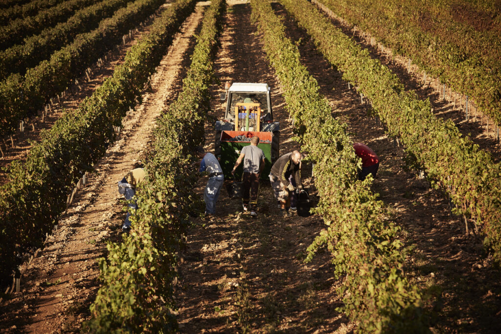 Straw Wattles 101 The Effective Tool for Preventing Soil Erosion