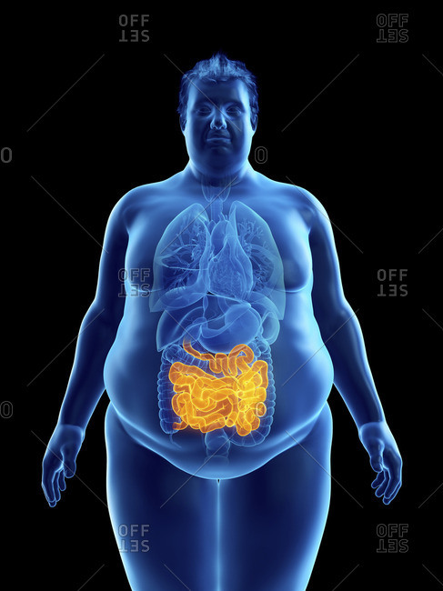 Man Xray Stock Photos Offset