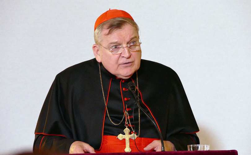 Cardinal Burke, the Remnant Each part of the problem AKA Catholic