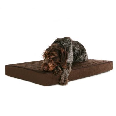 BuddyRest Blissful Orthopedic Pet Bed Frontgate