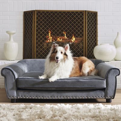 Velvet Lounge Pet Bed Frontgate