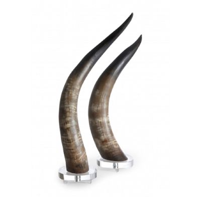 Decorative Horns, Set of Two Frontgate