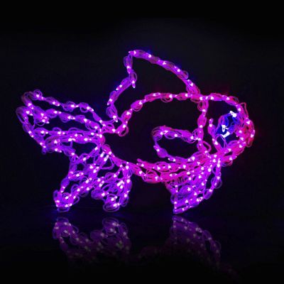 Lighted LED Fish Frontgate