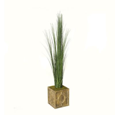 Tall Onion Grass in Wood Planter Frontgate