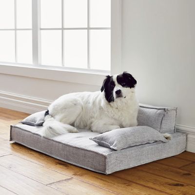 Moderno Pet Bed Frontgate