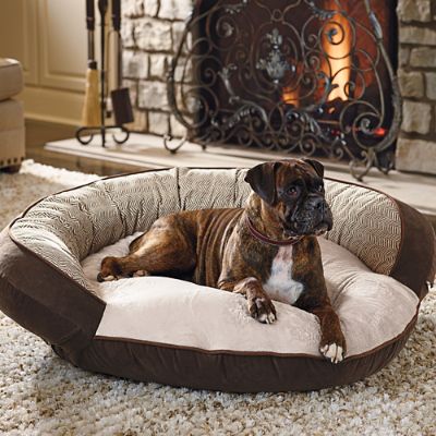 Plush Dream Pet Bed Frontgate
