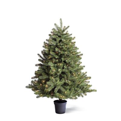 Grand Balsam Tabletop Artificial Prelit Christmas Tree Frontgate