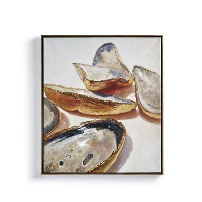 Oyster Group Shell Wall Art Frontgate