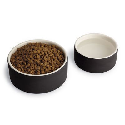 Magisso Ceramic Cooling Pet Bowl Frontgate