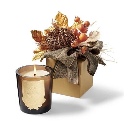 Lux Fall Chai Teascented Candle in a Harvest Gift Box Frontgate