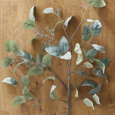 Eucalyptus Leaf Spray, Set of Four Frontgate