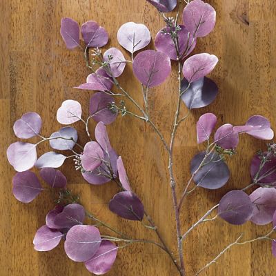 Purple Eucalyptus 42" Sprays, Set of Four Frontgate
