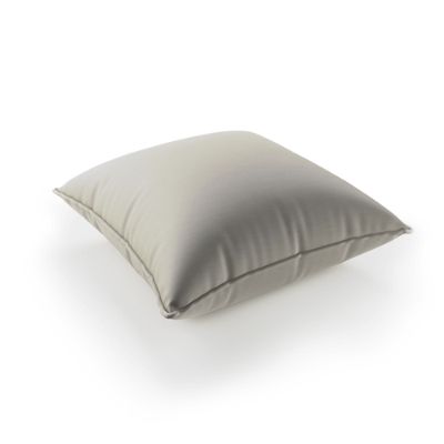Solid Indoor/Outdoor Floor Pillow Frontgate