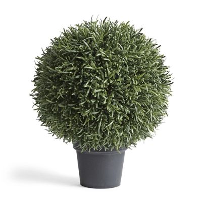 20" Outdoor Rosemary Ball Topiary Frontgate