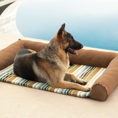 Cool Indoor/Outdoor Pet Bed Frontgate