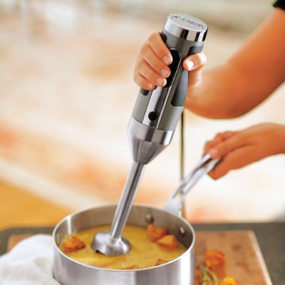 Viking Immersion Blender Frontgate