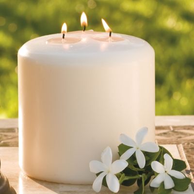 Threewick Conceal Mosquitorepellant Candle Frontgate